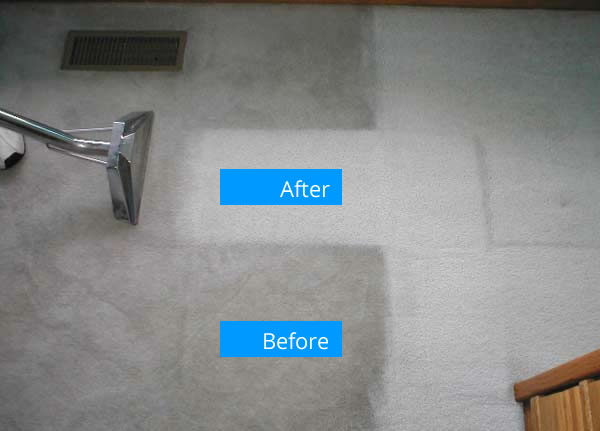 Bristol Carpet Cleaning